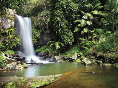 Image showing a waterfall at Mount Tambourine