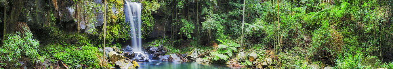 Image of a waterfall from Mount Tambourine Queensland