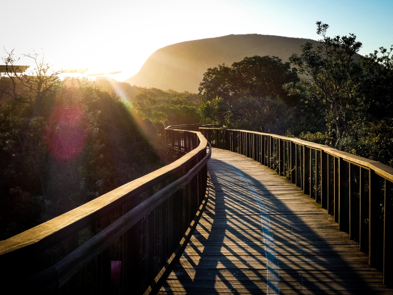 Boardwalk at sunset